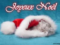 Image de Noël Cat