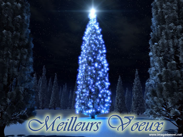 Image de Noël: Images Noël Voeux